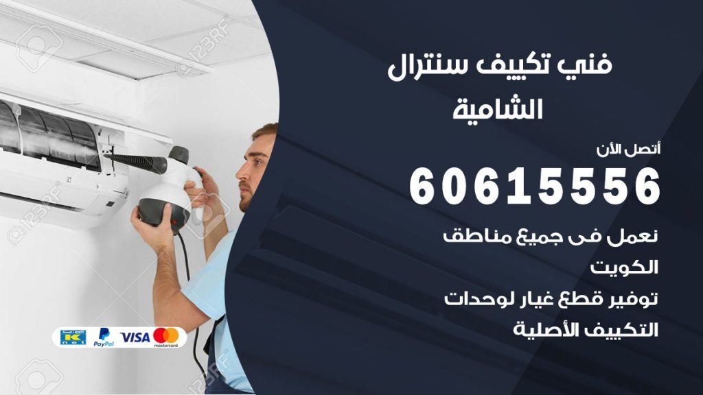 فني سنترال الشامية
