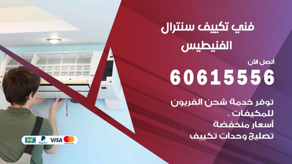 فني سنترال الفنيطيس